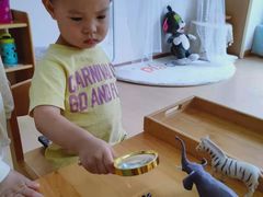 -自然树儿童之家(海珠翠城花园托育.早教校区)