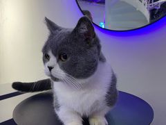 -极木²邸 人与宠物·互动社区