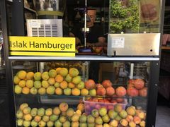 -费特希耶滑翔伞