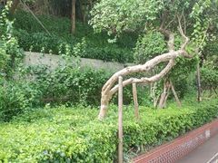 -铁路文化公园