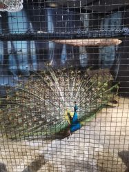 -酷嗒动物文化乐园(cutezoo西溪乐天城店)