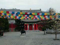 -骏途旅游