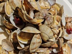 辣炒小蛤蜊-船歌·鱼水饺青岛菜(正阳路店)
