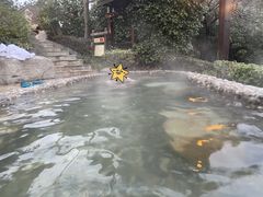 -天目湖涵田半山温泉