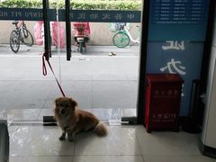 -申普宠物医院·眼科·心内科·影像科(普陀分院)