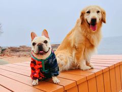 -青岛第三海水浴场