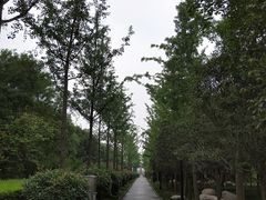-唐城墙遗址公园