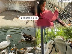 -金庭庄园酒店-停车场