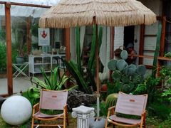 -Jo's Garden