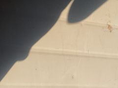 -张记捆鸡(总店)