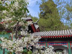 -宫事颐庭·老佛爷贵寿下午茶(颐和园店)