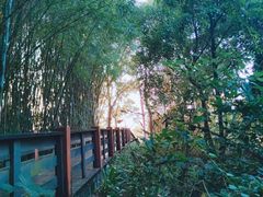 -水濂山森林公园