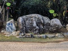 -云南勐巴娜西珍奇园