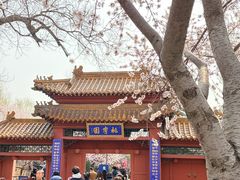 -桃花堤公园