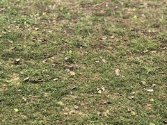 -秦皇岛野生动物园
