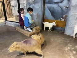 -Zoolung Zoolung动物主题公园(海信广场店)