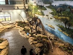 -自贡恐龙博物馆