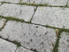 -盛世南宫影视城(北普陀影视城)