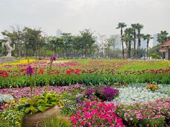 -厦门园林博览苑