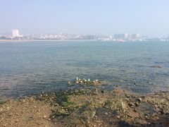 -老味道民宿(栈桥店)