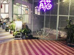 -有猫主题·治愈系猫咖(曾厝垵店)
