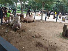 -长白岛森林公园