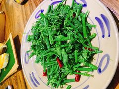 清炒洋瓜尖-云上千禾(水上店)