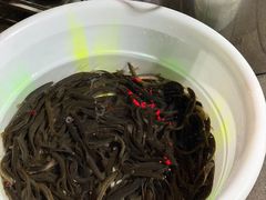 -铜元老码头鳝鱼火锅