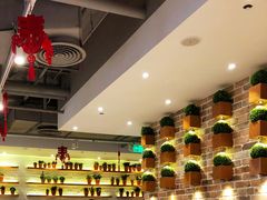 -翠華餐廳(浦东机场T1店)