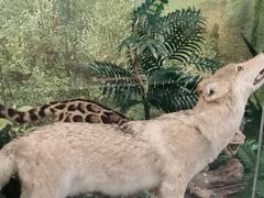 -下渚湖国家湿地公园科普馆