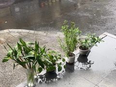 -九点小吃·安吉特色