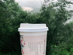 -茶颜悦色(岳麓山顶店)