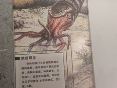 -贵州省地质博物馆