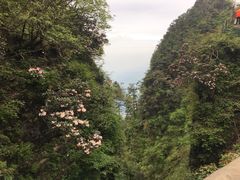 -峨眉山风景名胜区