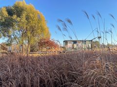 -野鸭湖国家湿地公园