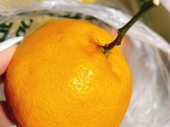 -元初食品(幸福e家小区店)