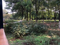 -永定河休闲森林公园