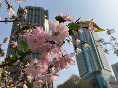 -常熟路(地铁站)