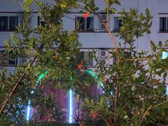 -羊门客在·烤盐池滩羊·川菜