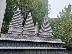 -木塔寺遗址生态公园