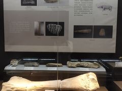 -泗洪县文化艺术中心