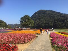 -广州市石门国家森林公园