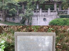-音乐台