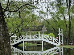 -上海共青森林公园