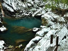 -祁门牯牛降观音堂风景区