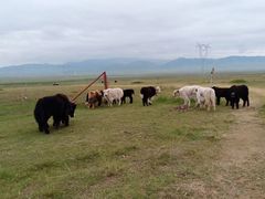 -青海湖国家重点风景名胜区