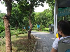 -海南文笔峰盘古文化旅游区