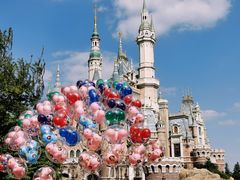 -上海迪士尼度假区