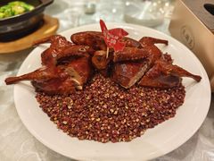 -朱记乳鸽王·非遗石岐乳鸽·全鸽宴(大兴旗舰店)