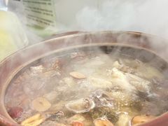 -威邵鸡煲(西华路总店)